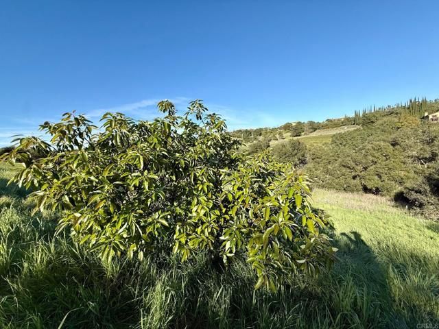 0 Palomar Drive, Fallbrook, CA 92028