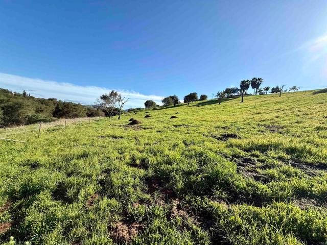 0 Palomar Drive, Fallbrook, CA 92028