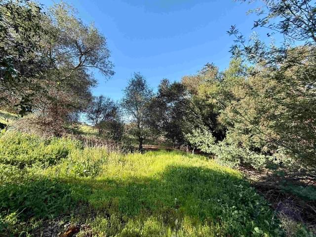 0 Palomar Drive, Fallbrook, CA 92028