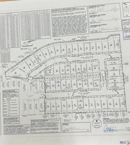 91 Rue Fraise, Zachary, LA 70791
