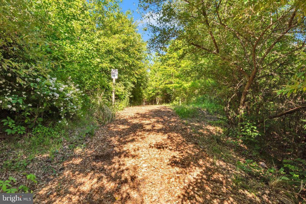Image 52 of property listing at 335 ANNA CAROL DR, Stevensville, MD 21666