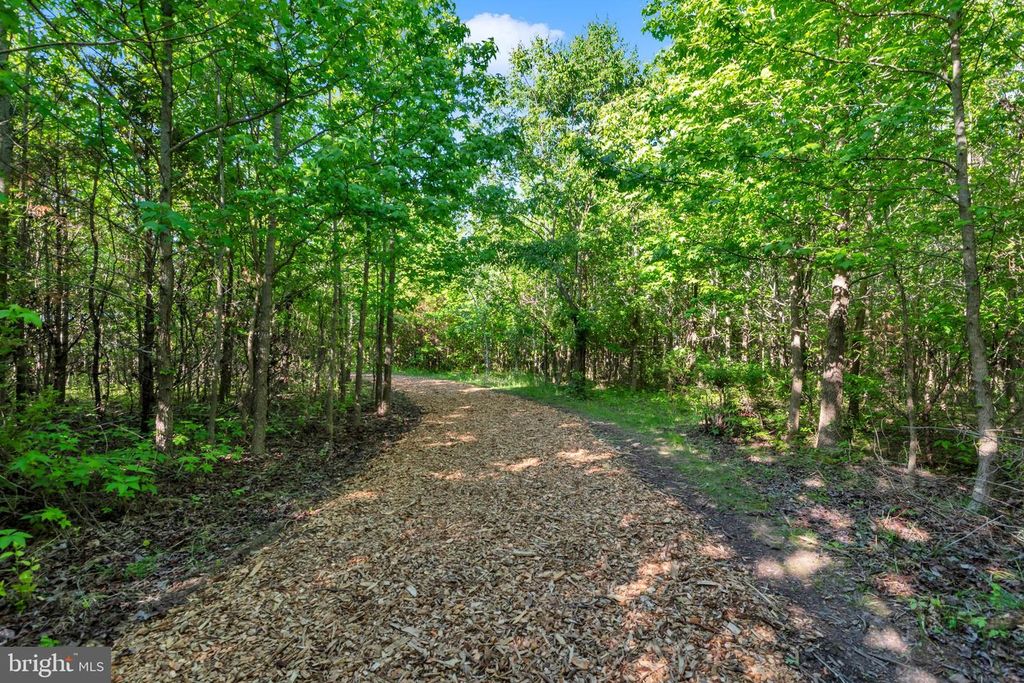 Image 53 of property listing at 335 ANNA CAROL DR, Stevensville, MD 21666