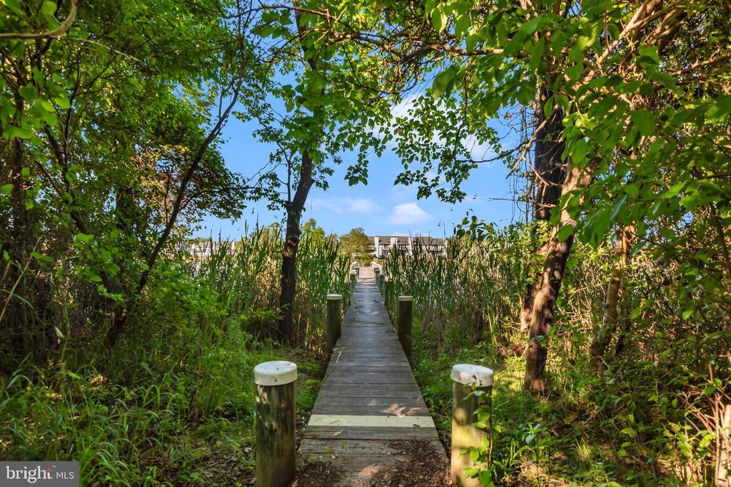 Image 55 of property listing at 335 ANNA CAROL DR, Stevensville, MD 21666