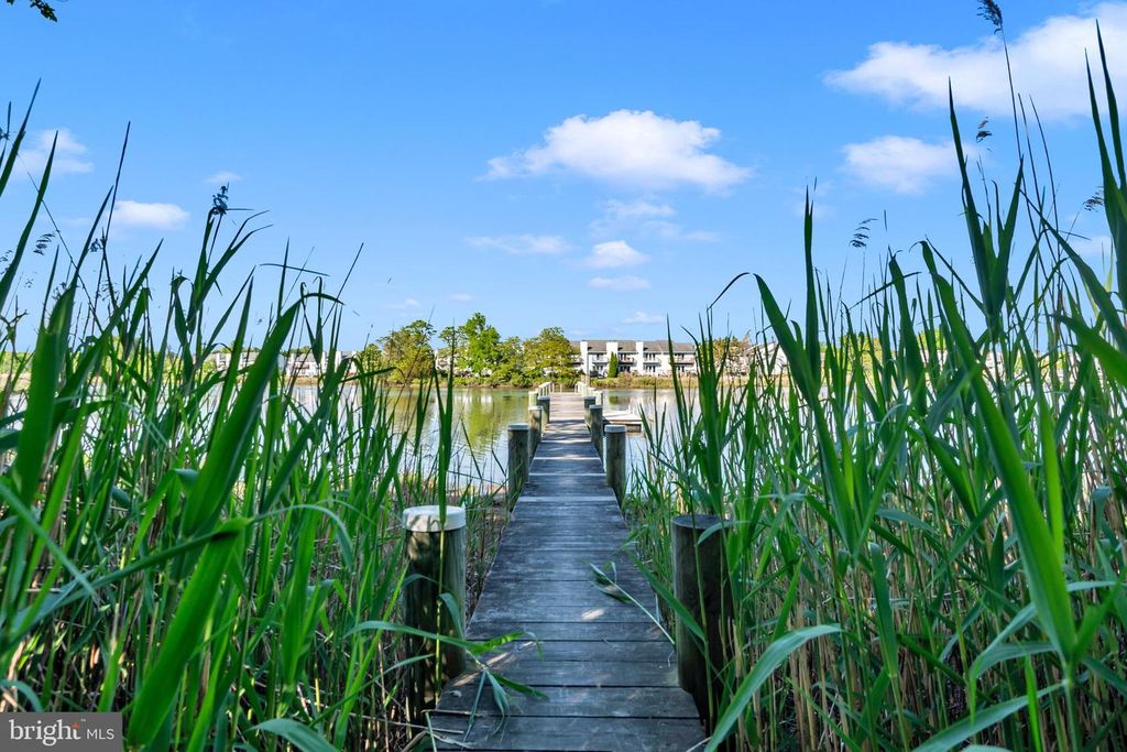 Image 56 of property listing at 335 ANNA CAROL DR, Stevensville, MD 21666