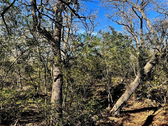 0 Wood Haven Drive, Waelder, TX 78959