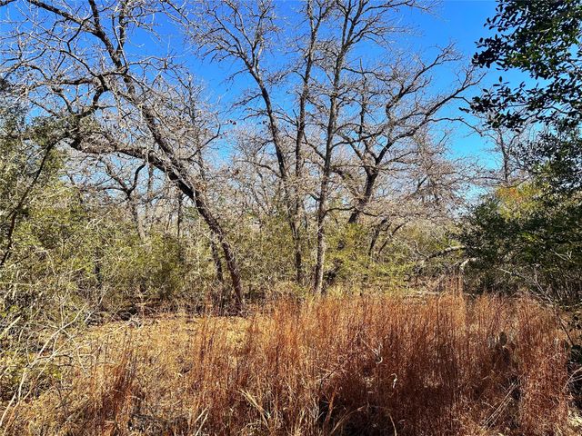 0 Wood Haven Drive, Waelder, TX 78959