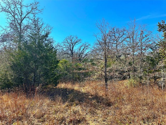 0 Wood Haven Drive, Waelder, TX 78959