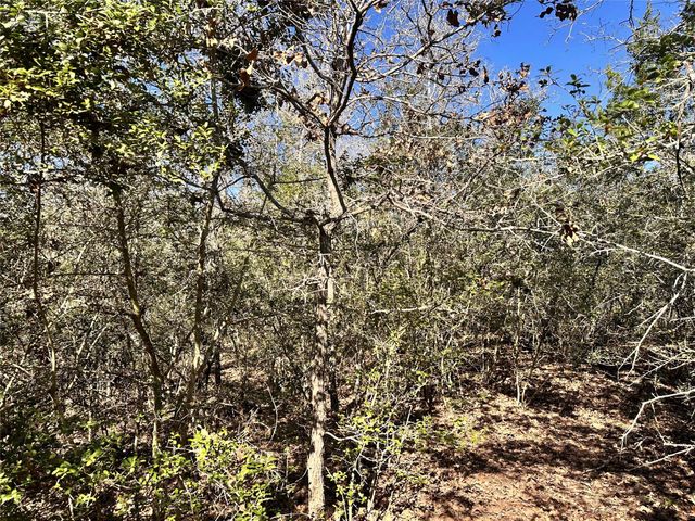 0 Wood Haven Drive, Waelder, TX 78959