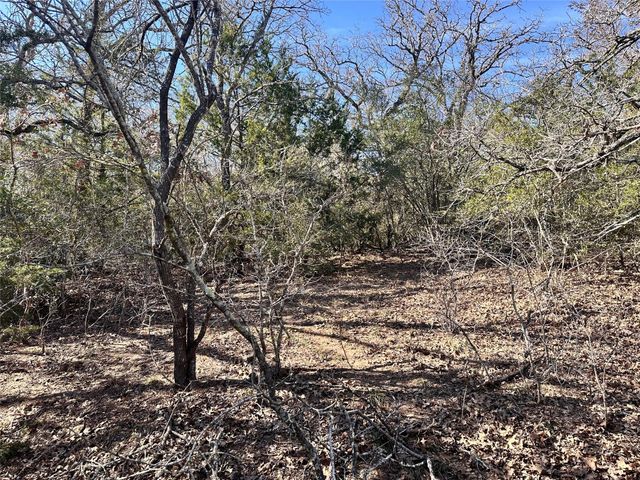 0 Wood Haven Drive, Waelder, TX 78959