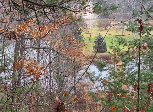 4132 Main, Paradise Twp, MI 49649