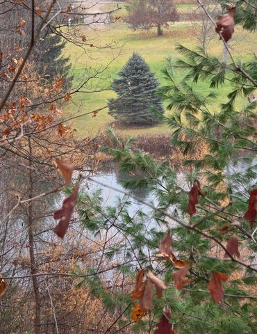 4132 Main, Paradise Twp, MI 49649