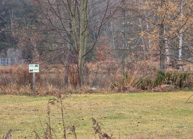 4132 Main, Paradise Twp, MI 49649