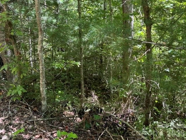 TBD Doris Lisa View Drive, Hendersonville, NC 28792