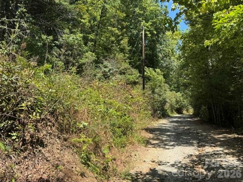 TBD Doris Lisa View Drive, Hendersonville, NC 28792