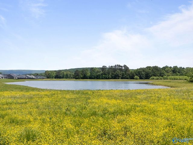 8304 Lionhead Lane SE, Owens Cross Roads, AL 35763