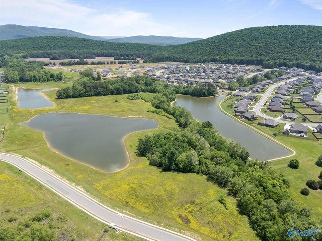 8304 Lionhead Lane SE, Owens Cross Roads, AL 35763