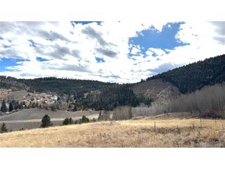 1 Hooper St, Central City, CO 80427