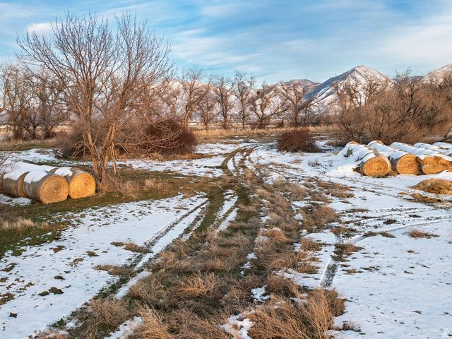 1289 N BAMBERGER RD, Payson, UT 84651