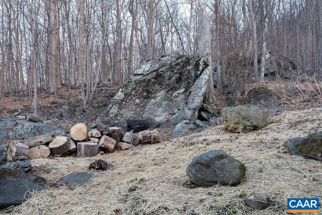 749 FAR KNOB CLIMB, Nellysford, VA 22958