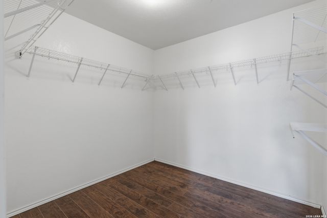 16410 KENTUCKY RDG, Selma, TX 78154
