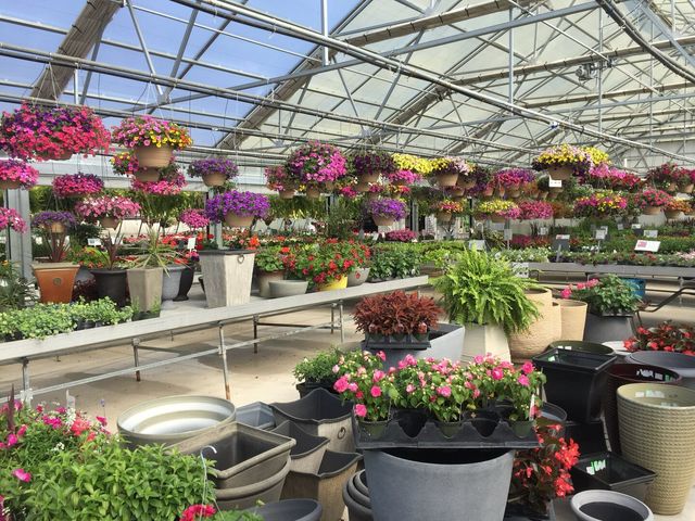 14132 Church Road, Minooka, IL 60447