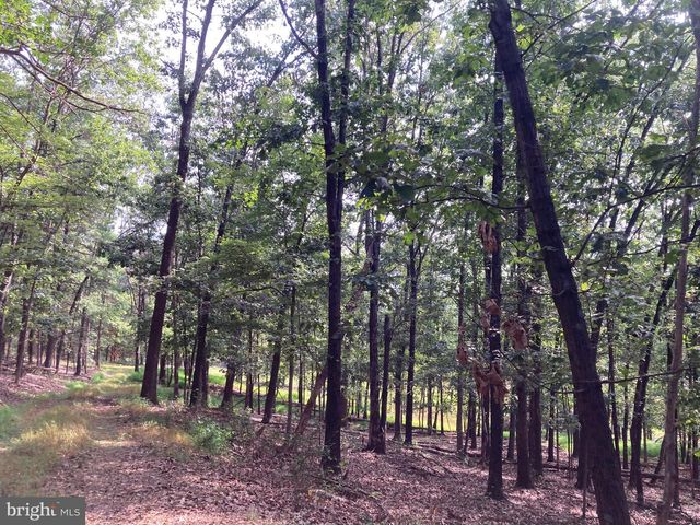 LIGHT RD, Winchester, VA 22603