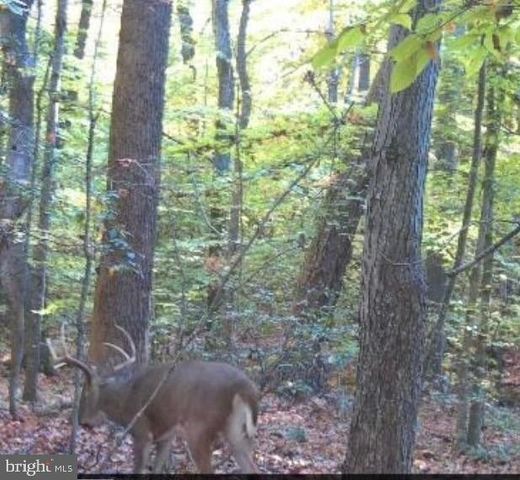 LIGHT RD, Winchester, VA 22603