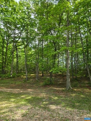 2335 DAVIS HWY, Mineral, VA 23117