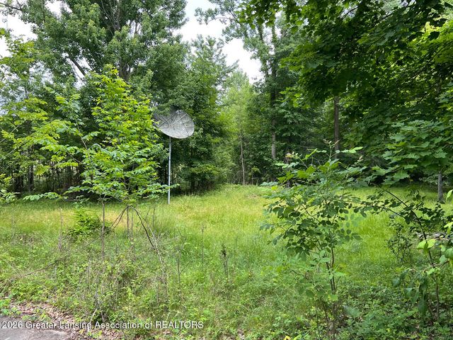 8515 E Price Road, Laingsburg, MI 48848