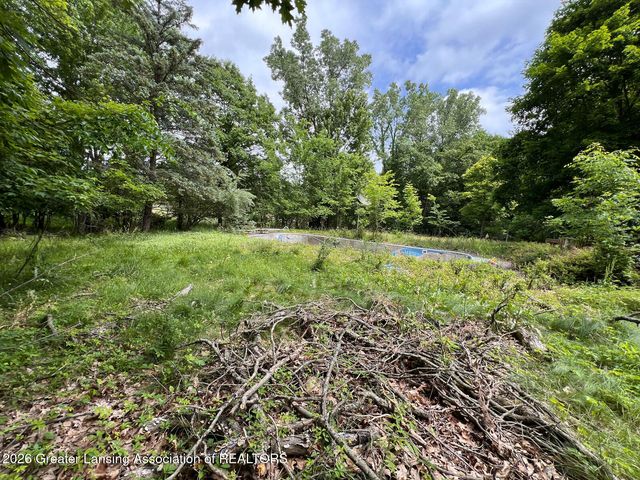 8515 E Price Road, Laingsburg, MI 48848