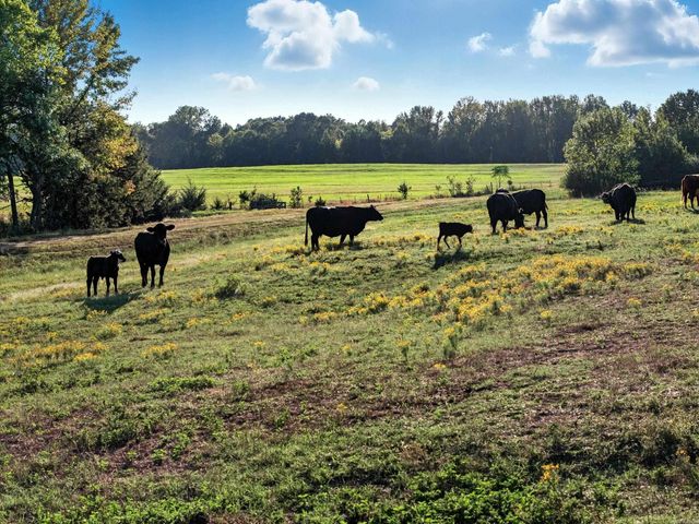 25 Indian Springs Drive, Greenbrier, AR 72058