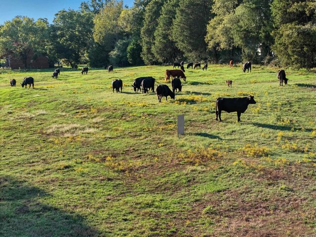 25 Indian Springs Drive, Greenbrier, AR 72058