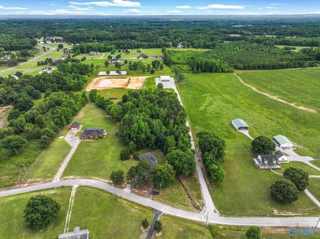 684 County Road 88, Trinity, AL 35673