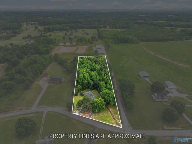 684 County Road 88, Trinity, AL 35673