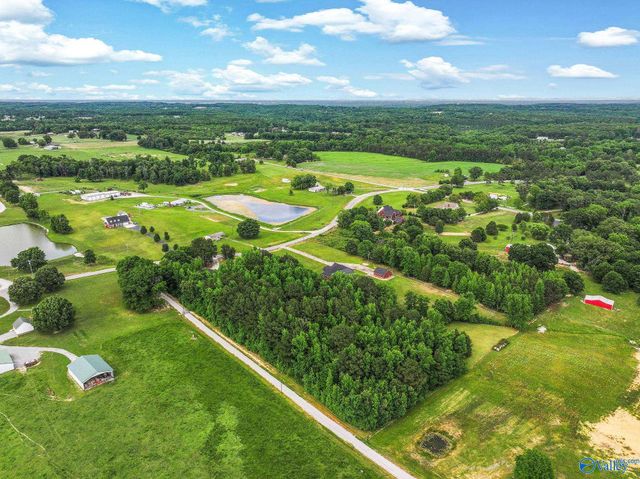 684 County Road 88, Trinity, AL 35673