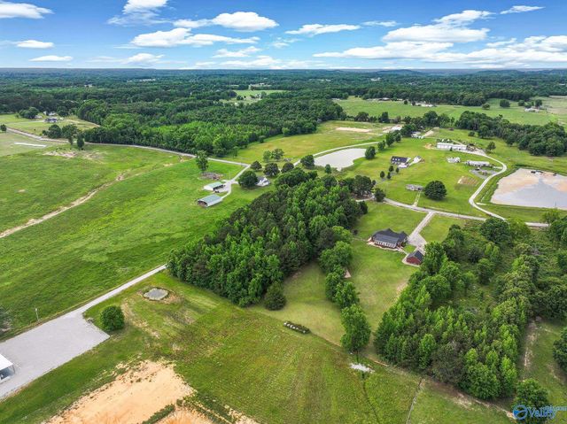 684 County Road 88, Trinity, AL 35673