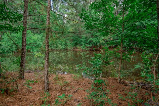 2175 E CR 186, Kilgore, TX 75662