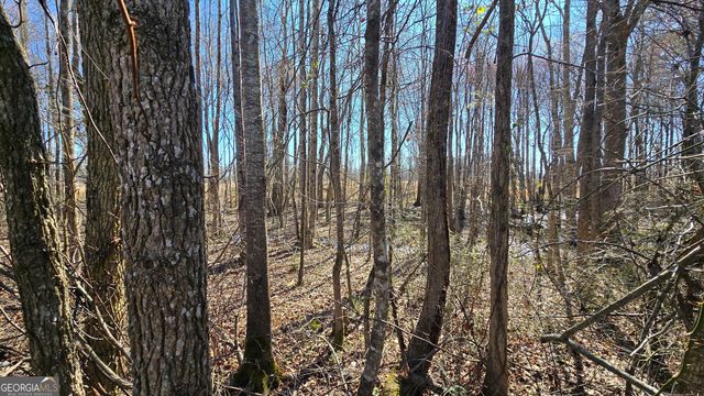 1112 Spring Creek Circle, Griffin, GA 30223