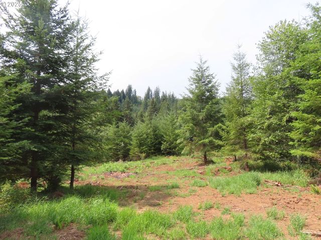 Mill Creek Lane D, Longview, WA 98632