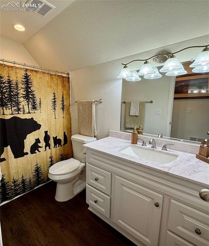 61 Stripling Lane, Divide, CO 80814