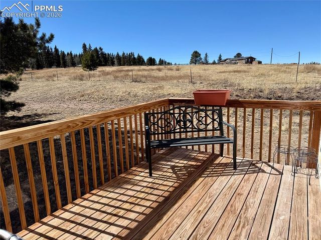 61 Stripling Lane, Divide, CO 80814