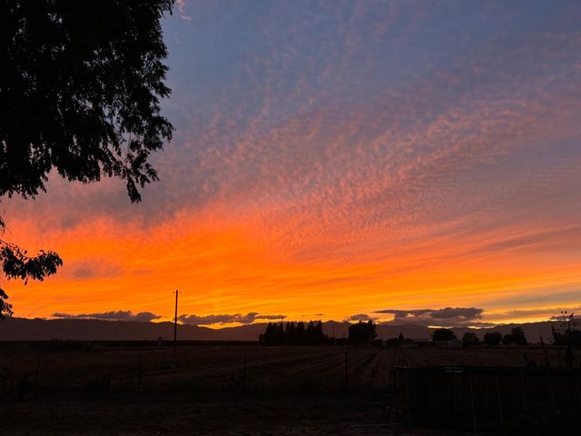 5621 Hankins Rd, Williams, CA 95987