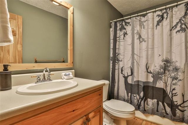 178 Novena Court, Ellijay, GA 30540