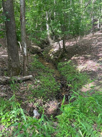0 East Two Pond Lane, Hayesville, NC 28904
