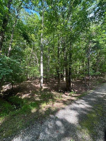 0 East Two Pond Lane, Hayesville, NC 28904