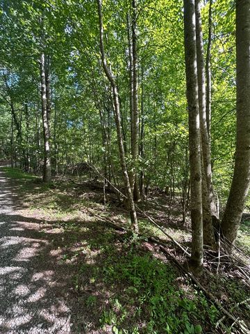 0 East Two Pond Lane, Hayesville, NC 28904