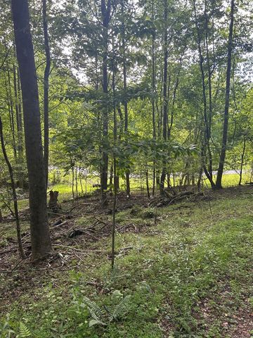 0 East Two Pond Lane, Hayesville, NC 28904