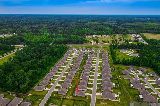 8897 Dalwood Dr, Denham Springs, LA 70726