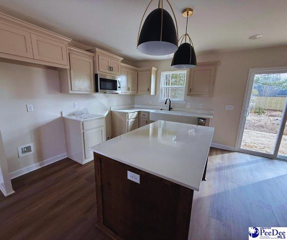 1507 Cattle Ridge Road, Cheraw, SC 29520