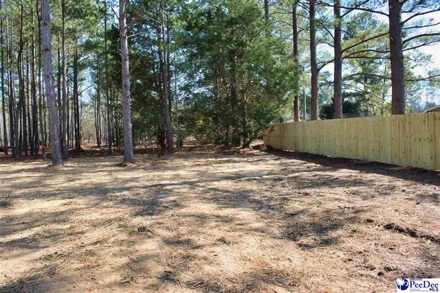1507 Cattle Ridge Road, Cheraw, SC 29520